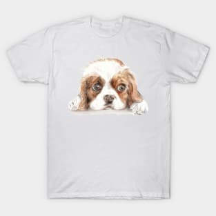 Cavalier King Charles Spaniel T-Shirt